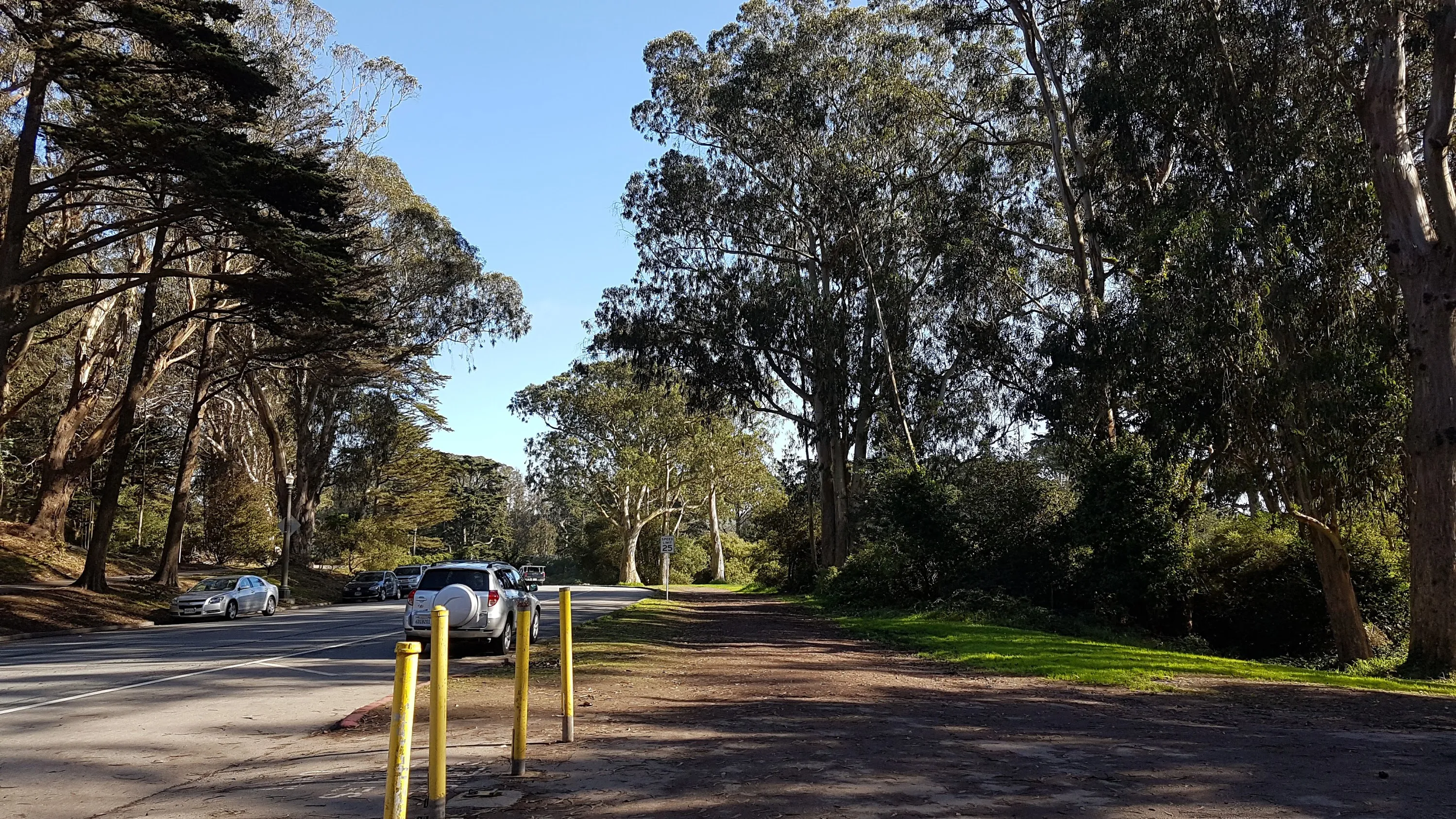 A car parked on the side of the road in Golden Gate Park