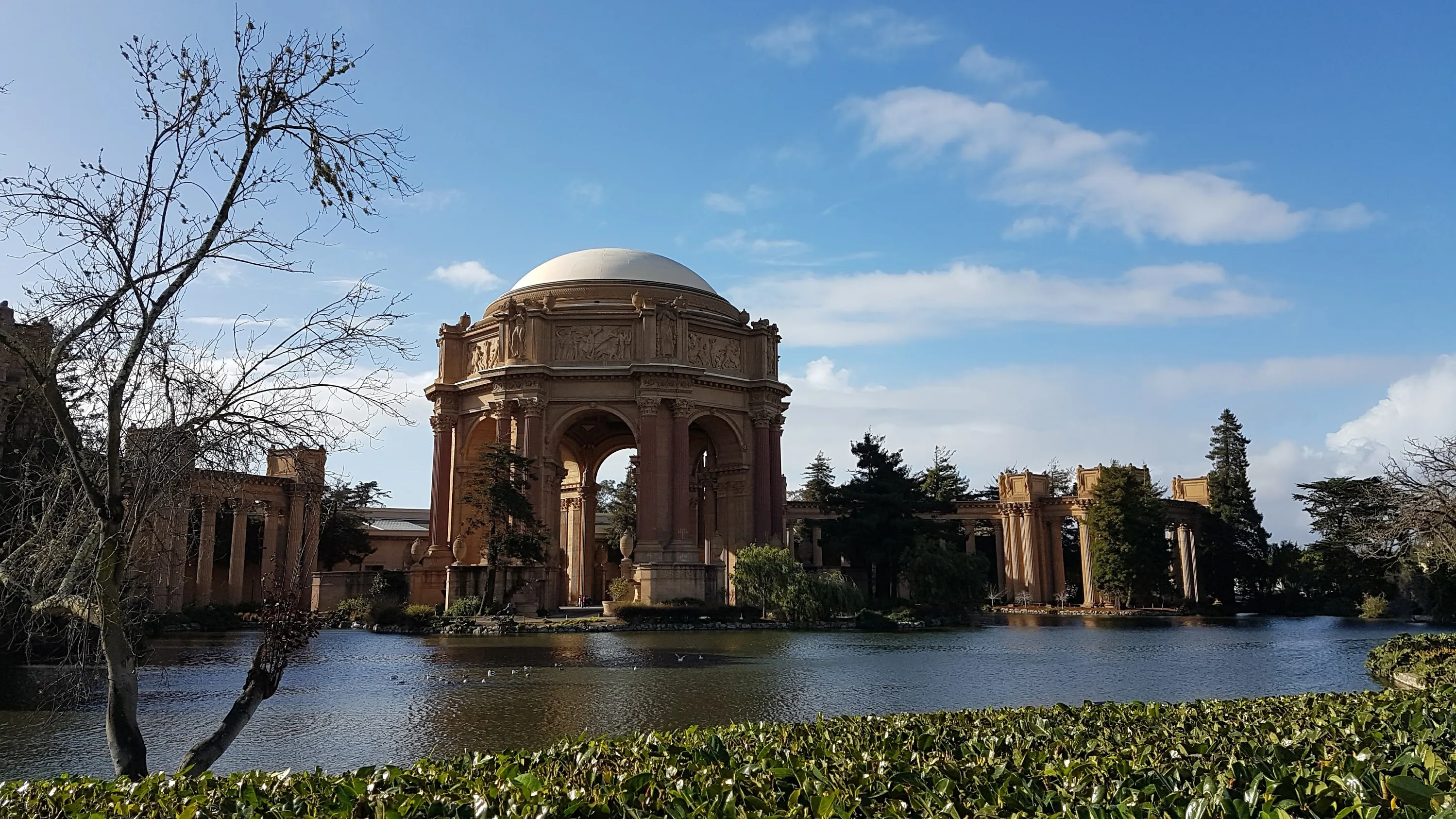 San Francisco's Palace of Fine Arts